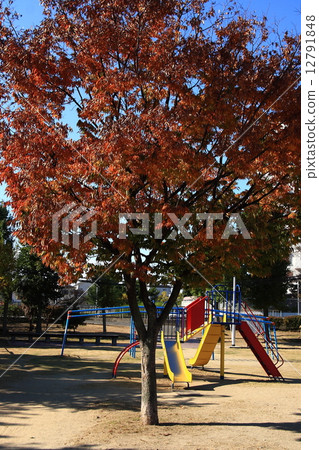 Autumn park 12791848
