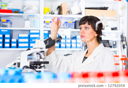 woman in a laboratory microscope with microscope slide in hand woman in a laboratory microscope with microscope slide in hand 12792058