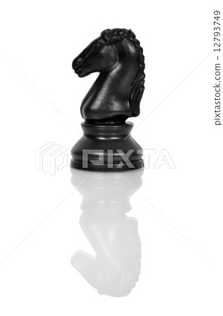 Chess knight Chess knight 12793749