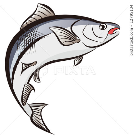 salmon - Stock Illustration [12795134] - PIXTA