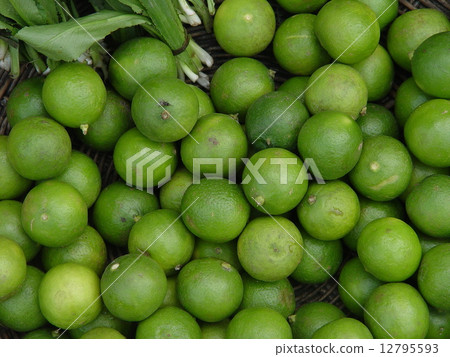 藍色橘子（暹粒/柬埔寨） 12795593