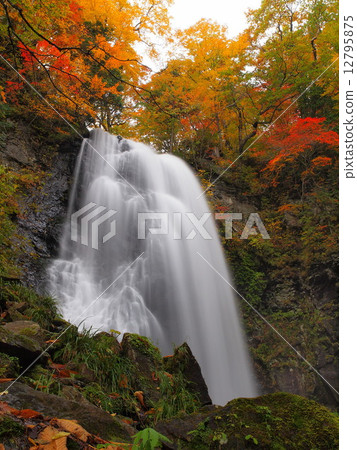 Onogawa immobile waterfall 12795875