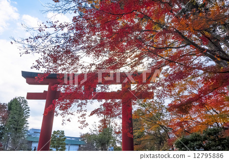 Shionogi Shrine·Shibamogo Shrine的Otorii 12795886
