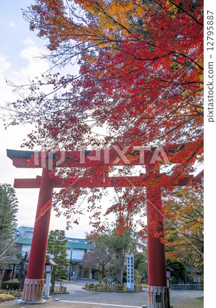Shionogi Shrine·Shibamogo Shrine的Otorii 12795887