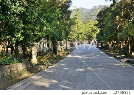 Izumo Taisha Izumo Taisha 12796531
