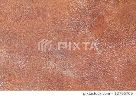 Leather Wallet 12796709