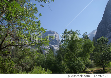 Nature Nature 12797528