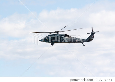 Air Self Defense Force Air Show 12797875