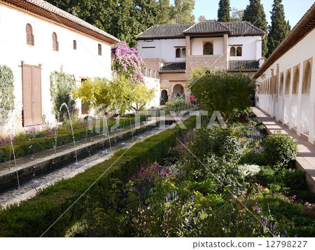 Alhambra Palace General courtyard of Aékia Alhambra Palace General courtyard of Aékia 12798227