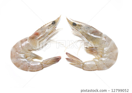 Two of Whiteleg shrimp isolated on white background. Two of Whiteleg shrimp isolated on white background. 12799052
