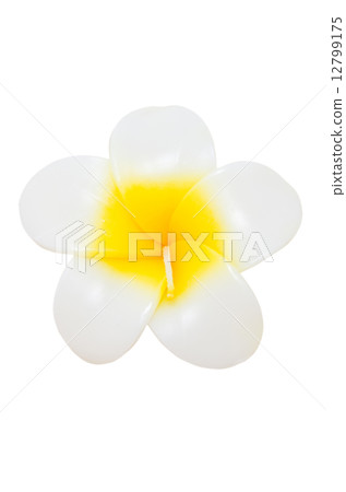 Plumeria flower candles isolated on white. Plumeria flower candles isolated on white. 12799175