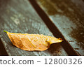 Wet leaf on banch 12800326