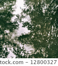 Tree and texture reflexion on water 12800327