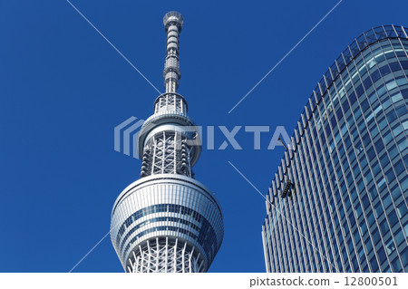 東京天空樹和東塔 東京天空樹和東塔 12800501