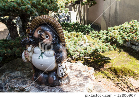 Tanuki Tanuki 12800907