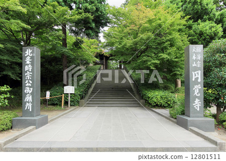 幕府將軍門 12801511