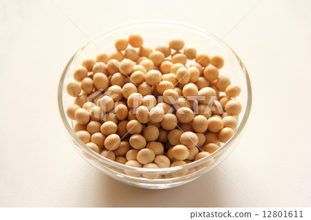 大豆 大豆 12801611