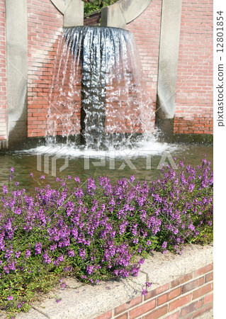 Fountains and flowers 12801854