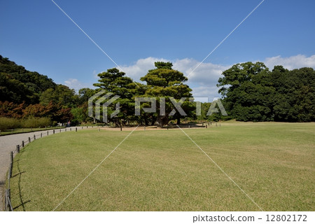 Kuribayashi公園 12802172