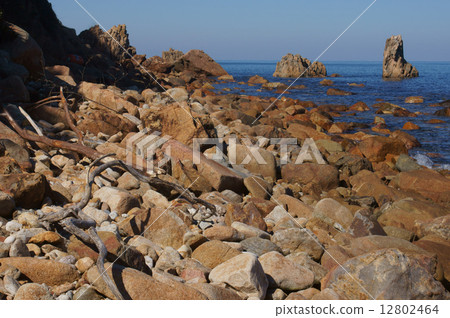 海岸和浮木 12802464