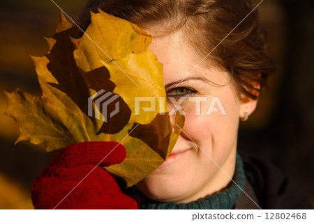 Fallen leaves 12802468