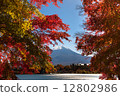 Fuji of autumn leaves 12802986