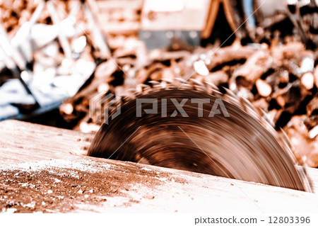 Circular saw blade 12803396