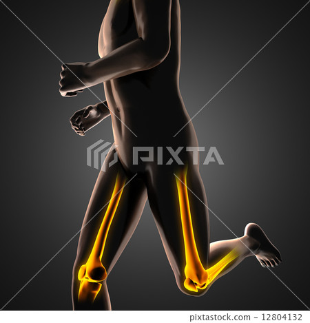human radiography scan  with glowing bones 12804132