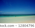 夏季海灘 12804796