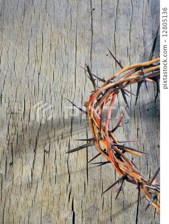 crown of thorns crown of thorns 12805136