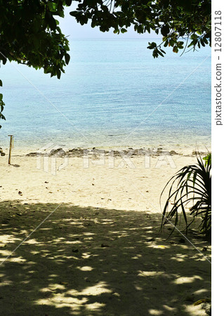 Taketomijima Kaiji Beach 12807118