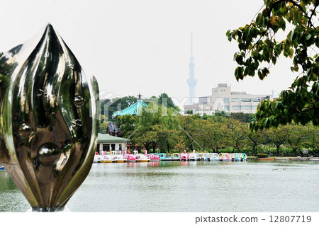 上野公園遊覽該地區 上野公園遊覽該地區 12807719