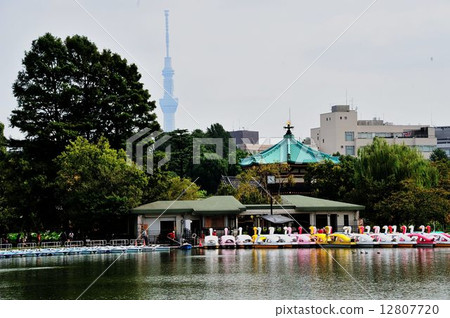 上野公園遊覽該地區 上野公園遊覽該地區 12807720