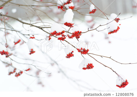 Nanakamado and snow Nanakamado and snow 12808076