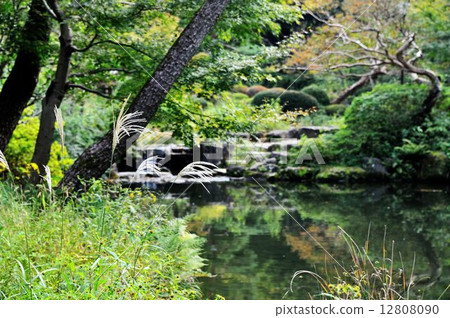 Walking around Tokyo Waseda area 12808090