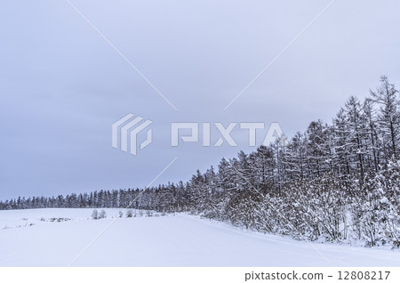 Biei's snow scene Biei's snow scene 12808217