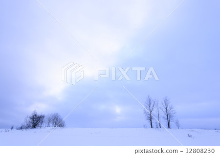 Biei's snow scene Biei's snow scene 12808230