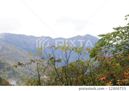 Northern Alps and autumn leaves 12808733