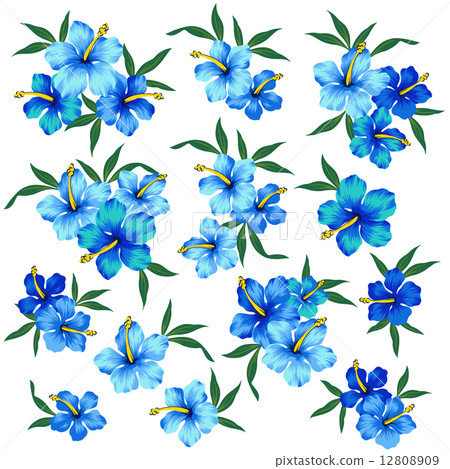 芙蓉圖 芙蓉圖 12808909