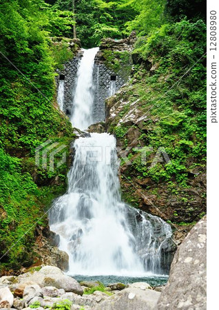 Seiyu Azuma Sky Bale - Drive Line 12808980