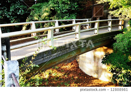 Kawagoe-shi stroll 12808981