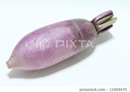 Red Crimson Radish Red Crimson Radish 12809470