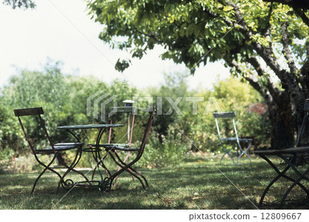 表中的性質 12809667