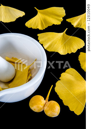 Ginkgo leaves and fruits with mortar Ginkgo leaves and fruits with mortar 12810049