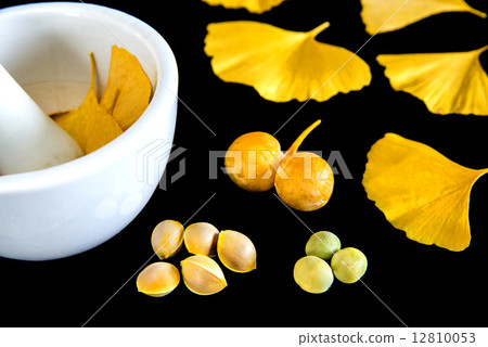 Ginkgo leaves and fruits with mortar 12810053