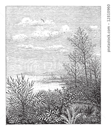 Jurassic Period, vintage engraving 12810960