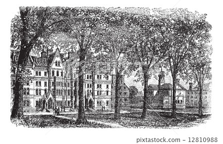 Harvard University, Cambridge, Massachussets vintage engraving 12810988
