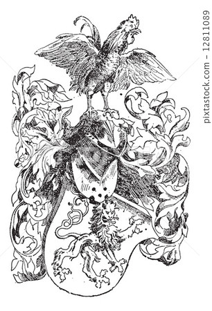 Knight's Helmet and Shield, vintage engraving 12811089