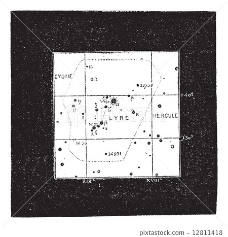 Lyra Constellation, vintage engraving 12811418