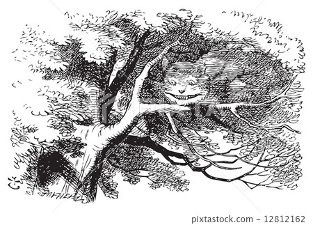 Cheshire Cat fading to smile Cheshire Cat fading to smile 12812162